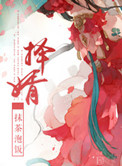 择婿小说