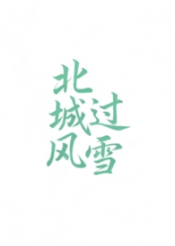 北城有雪 高干文